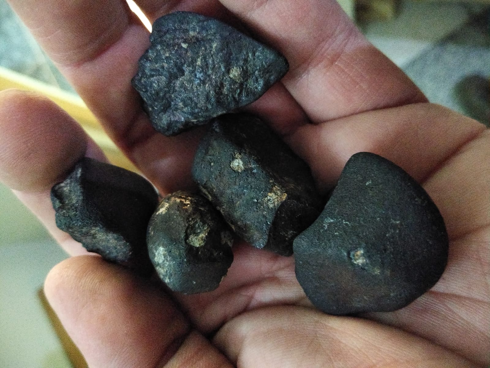 Fesh fallen Vinales Meteorites